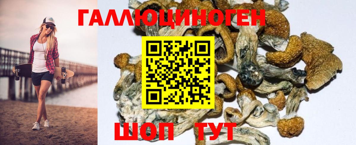 Псилоцибиновые грибы GOLDEN TEACHER  Вход с VPN  Донской 