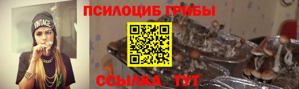 Галлюциногенные грибы мицелий Донской